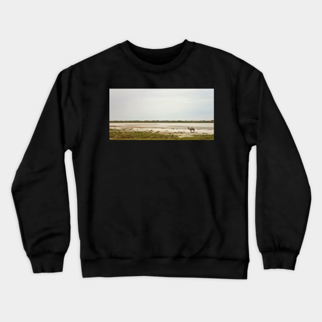 Camel along the Aral Sea Crewneck Sweatshirt by SHappe